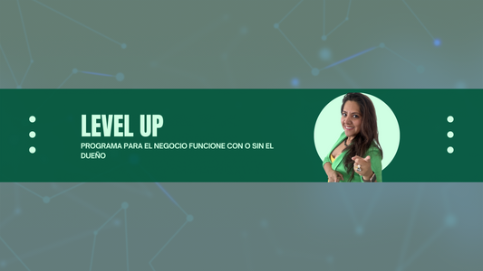 LEVEL UP BUSSINESS MENTORING